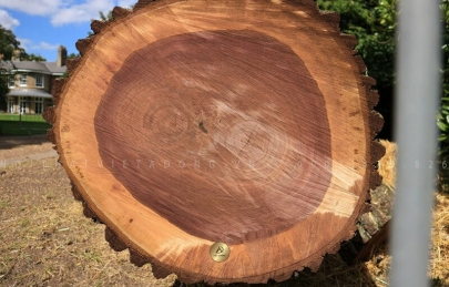 Vân gỗ óc chó là gì?